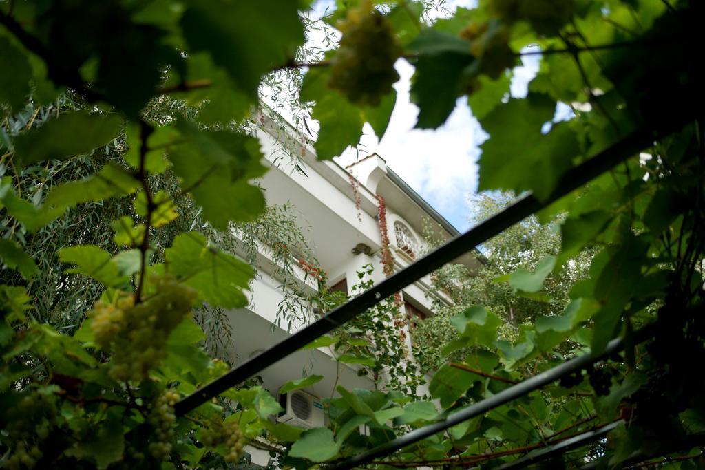 Guest House Barbov Obsor Exterior foto